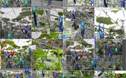 【初心者OK】PCで学習したYOLOモデル(best.pt)をJetson NanoでTensorRT化して爆速推論する方法（Dockerで完結）