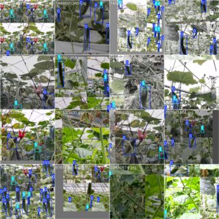 【初心者OK】PCで学習したYOLOモデル(best.pt)をJetson NanoでTensorRT化して爆速推論する方法（Dockerで完結）